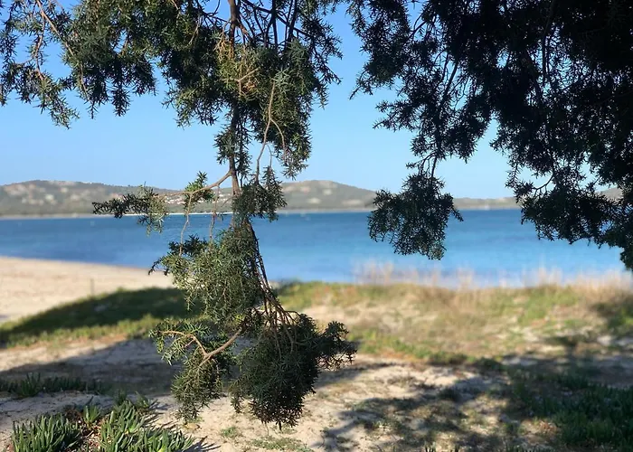 Maison Vecchio - Lecci